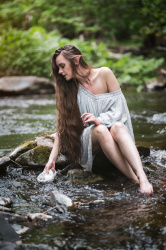 Stella by Laura Calandt